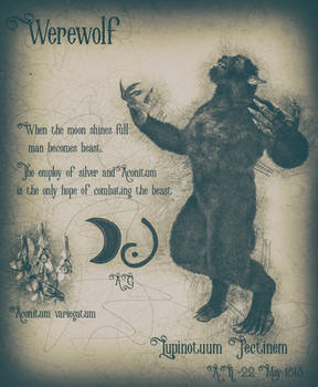 The Werewolf