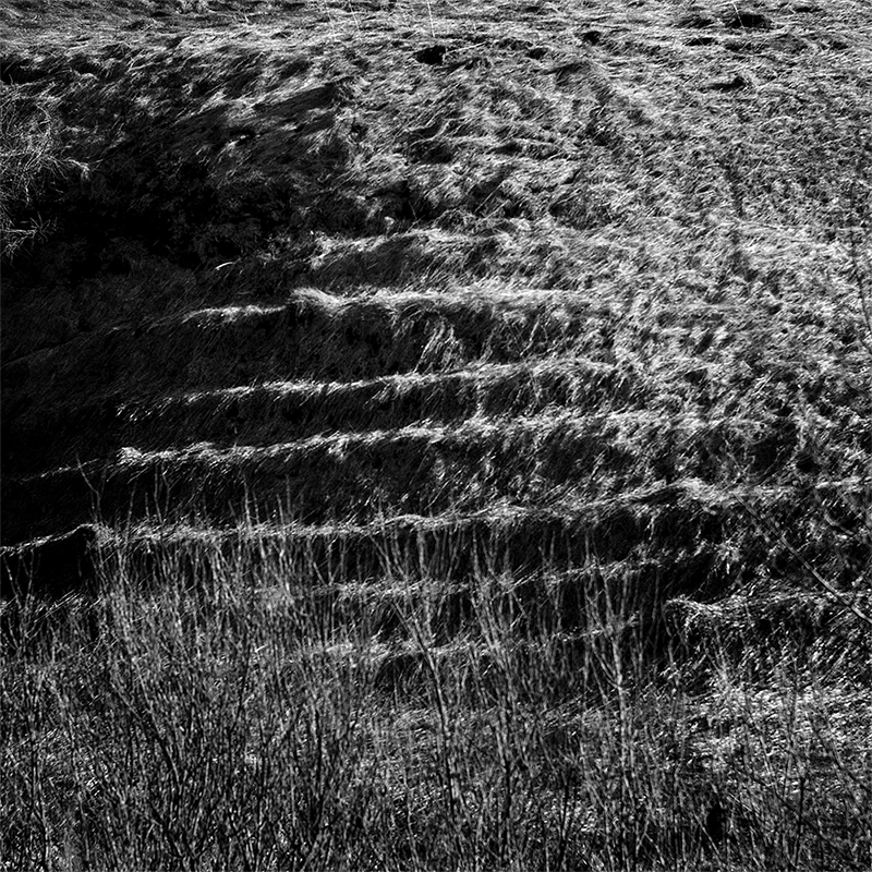 NaturalStairs