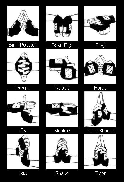 Hand signs are used to perform many ninjutsu genjutsu and other secret arts...