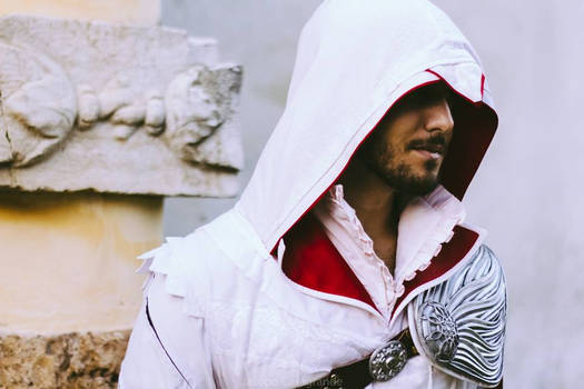 Ezio Brotherhood 2014 (3)