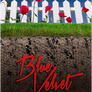 Movie Poster [Practice] - Blue Velvet