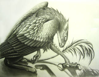 The Gryphon