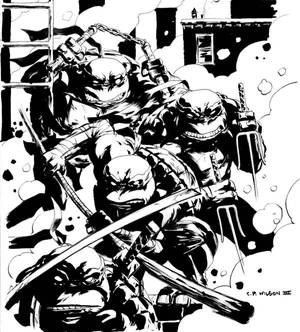 Teenage Mutant Ninja Turtles by CP Wilson III