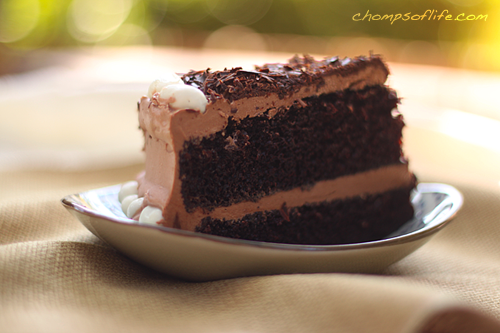 Ultimate Chocolate Cake