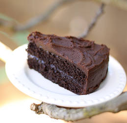 Quinoa Chocolate Cake