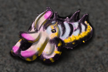 Flameboyant cuttlefish
