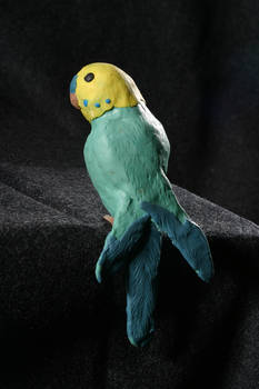 Parakeet