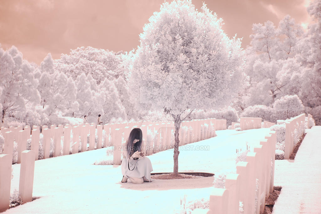 IR photography (5)