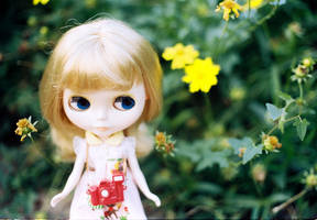 blythe in flower