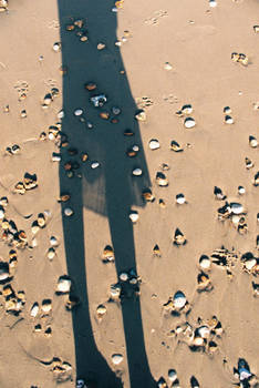 seaside shadow