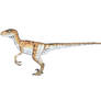 TLW Male Velociraptor