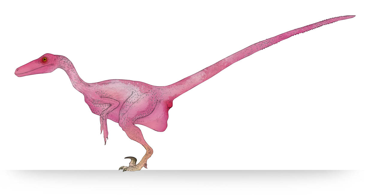 Armless Raptor Featherless Raptor by March90 on DeviantArt
