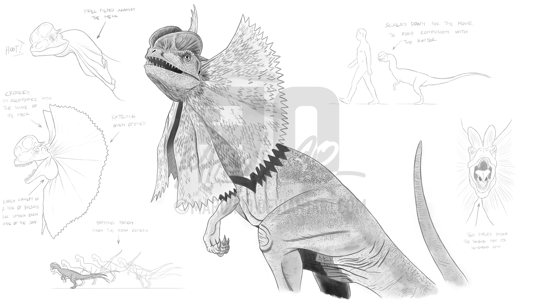 Jurassic Park Dilophosaurus 'Spitter' Studies