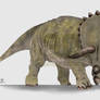 Triceratops 'Trike'