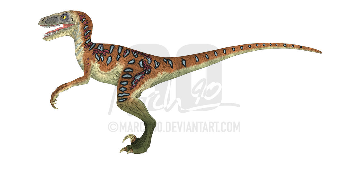 Commission - AK Raptor 02 by March90 on DeviantArt