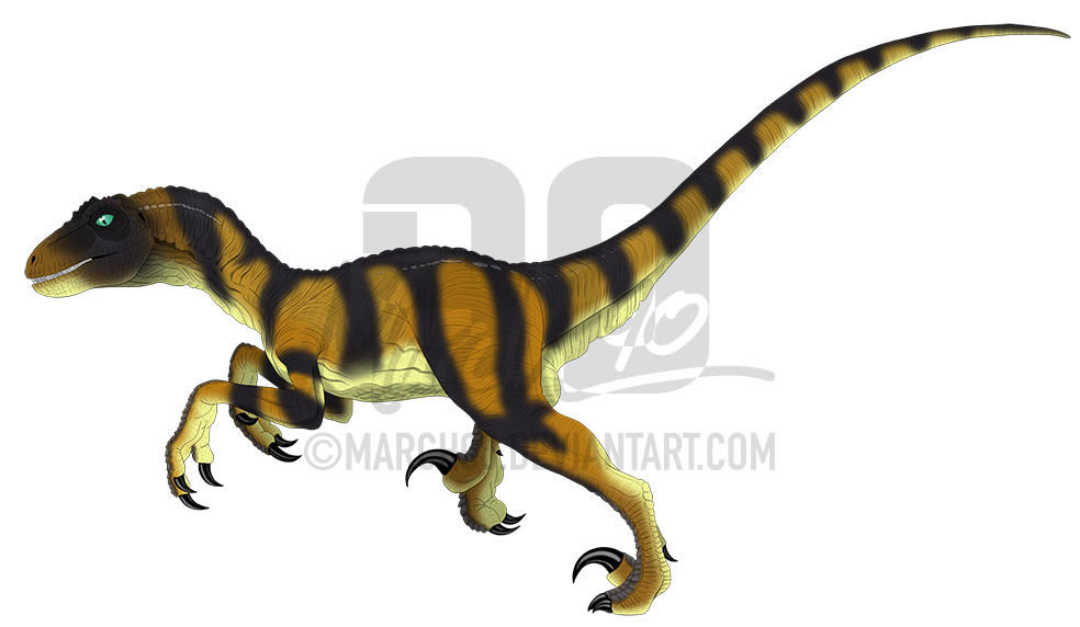 Commission - TLW Kenner Megaraptor by March90 on DeviantArt