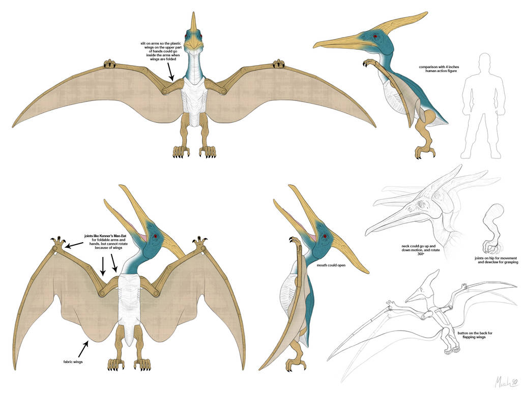 Pteranodon Action Figure Concept by March90 on DeviantArt