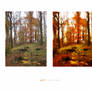 autumn retouch