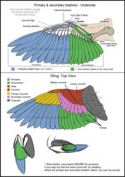 Bird Wings (Tutorial) by Key-Feathers