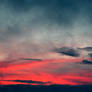 Red Dawn Rain