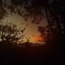 Moody Vision