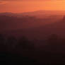 New Day