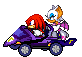 Knuckles x Rouge: MKDD