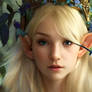 Beautiful Elf Princess