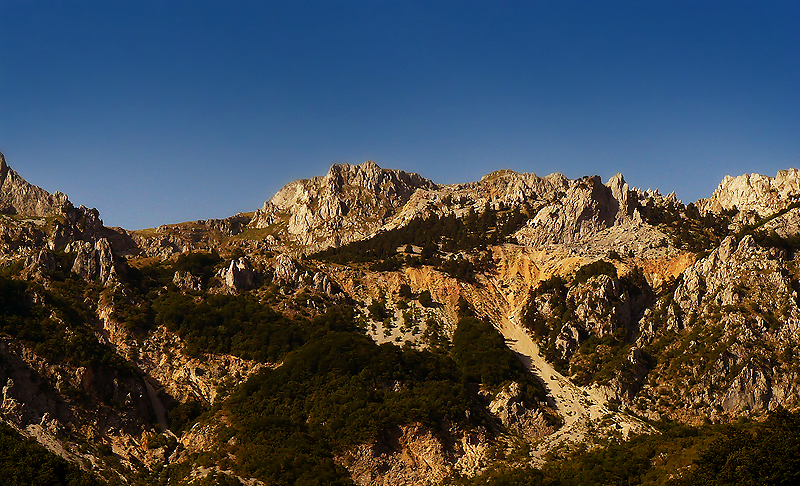 Planina