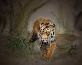 Sumatran tiger4 by Emushi