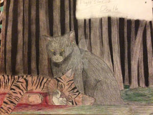 Tigerstar's Death Pt 2