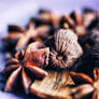 Spices