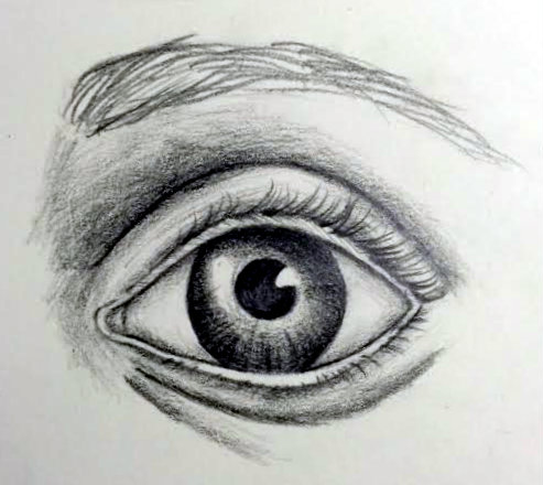 Eye