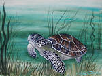 Hawksbill Sea Turtle by EverIris