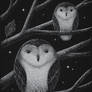 Two-owls-with-stars