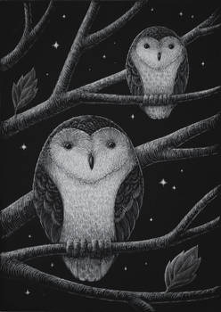 Two-owls-with-stars