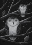 Two-owls-with-stars by RustyScratchy