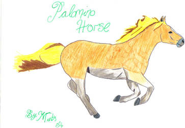 gallpoing palomino