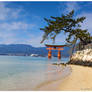 Miyajima Paradise