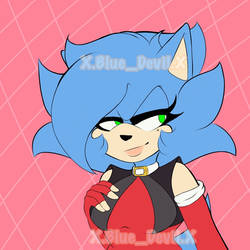 Sonica the hedgehog 