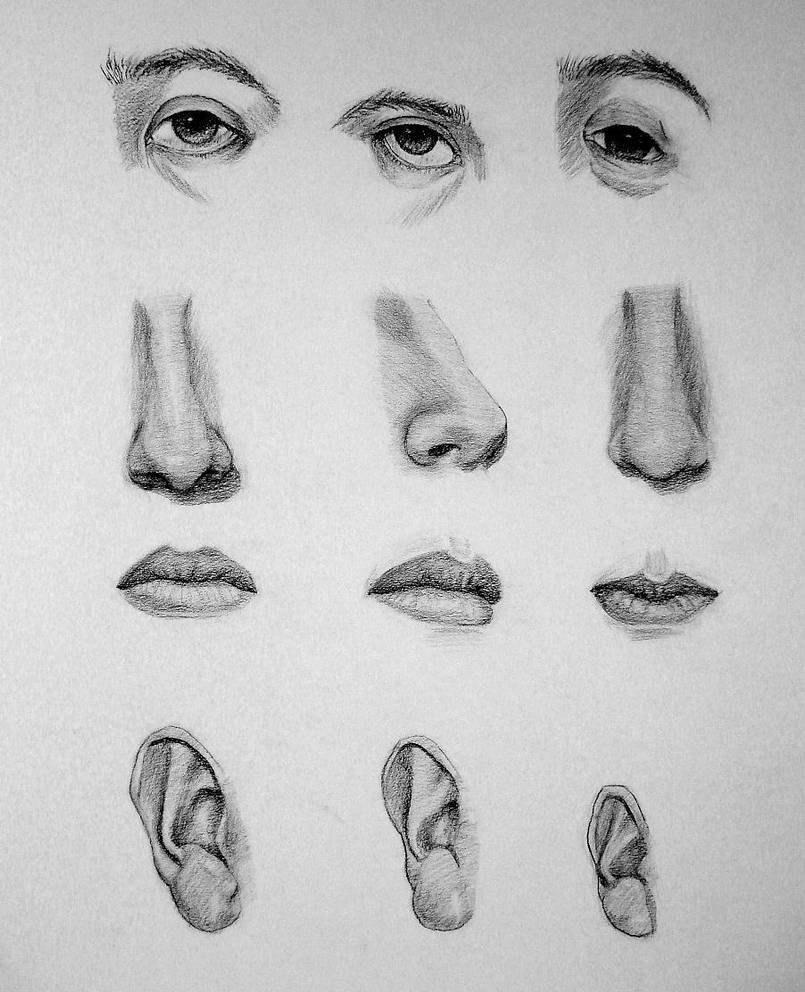 eyes, ears, nose and mouth by E-Nojosa on DeviantArt