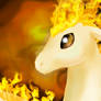 Ponyta