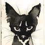 Ink Cat 1