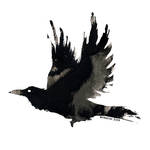 Ink Raven 10 by Myrntai