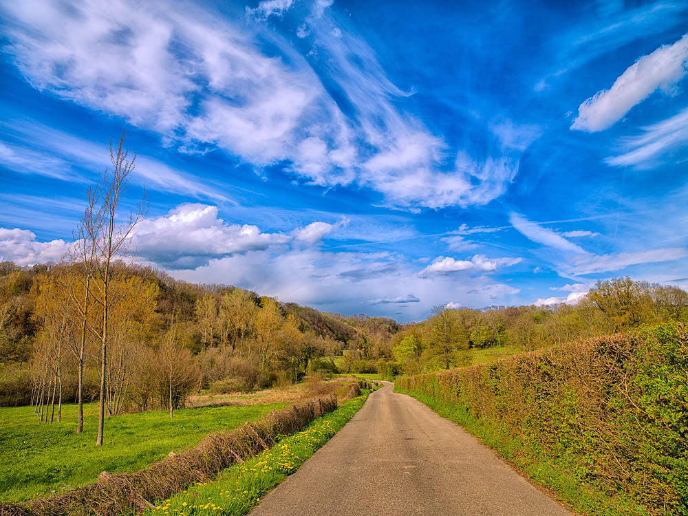Normal World Landscape Normal Landscape by MagicWorld on DeviantArt