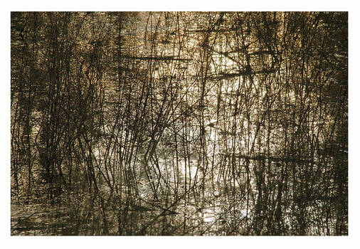 Pollock's pond
