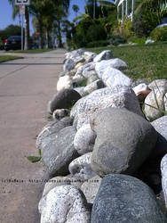 Love is found on the rocks