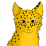 Cheetahkit :3