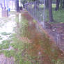 Flooding in Rockville 2