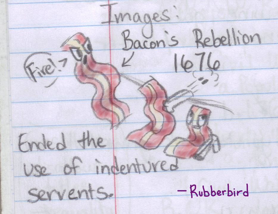 The Bacon's Rebellion